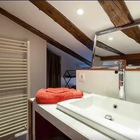 Loft Saint Vincent * 리옹